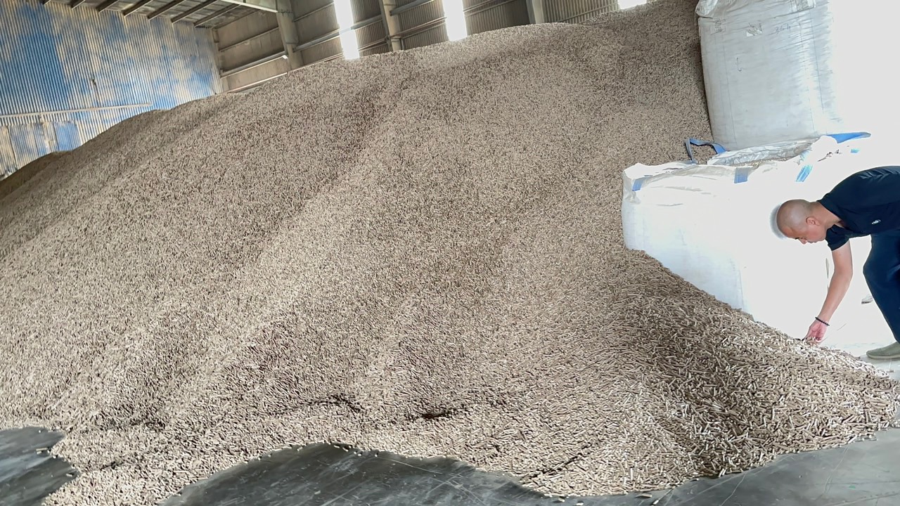 Wood pellets in Vietnam